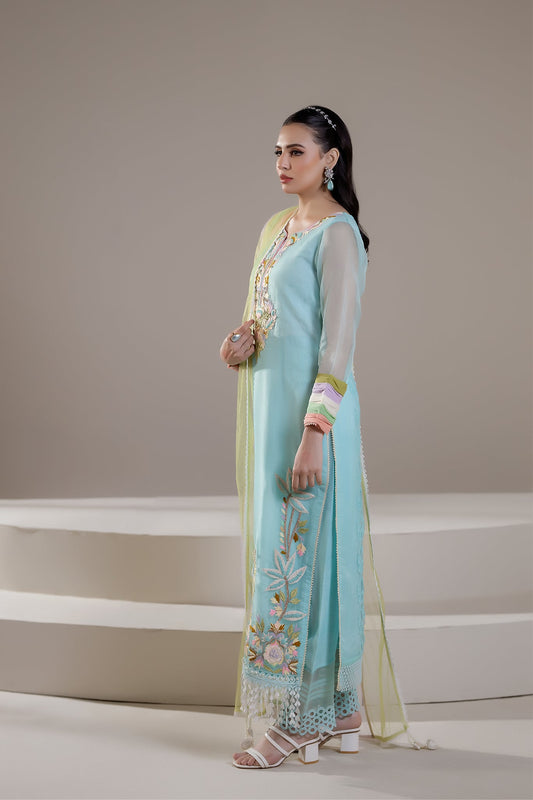 Cyan Pure Organza Hand Embroidered Suit