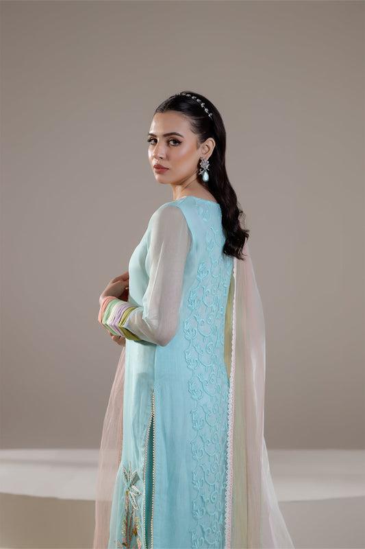 Cyan Pure Organza Hand Embroidered Suit