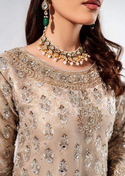Beige Embellished Net Pakistani Wedding Guest Outfit Online in Dubai UAE Abudhabi Ajman Sharjah