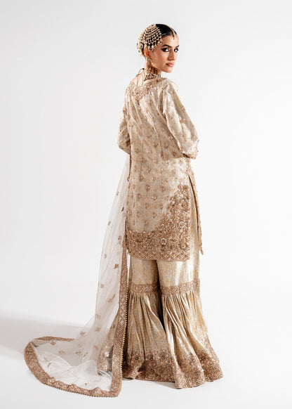 Beige Embellished Net Wedding Guest Outfit Online in Dubai UAE Abudhabi Ajman Sharjah