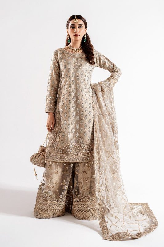 Beige Embellished Net Wedding Guest Suit Online in Dubai UAE Abudhabi Ajman Sharjah