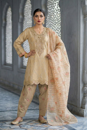 Beige Embroidered Jacquard Party Wear Suit Online in Dubai UAE Abudhabi Ajman Sharjah