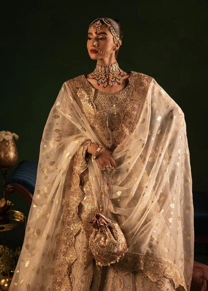 Beige Flared Maxi Organza Suit Online in Sri Lanka India Australia