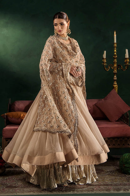 Beige Hand Embroidered Crinkle Chiffon Anarkali Peshwas Online in Dubai UAE Abudhabi Ajman Sharjah