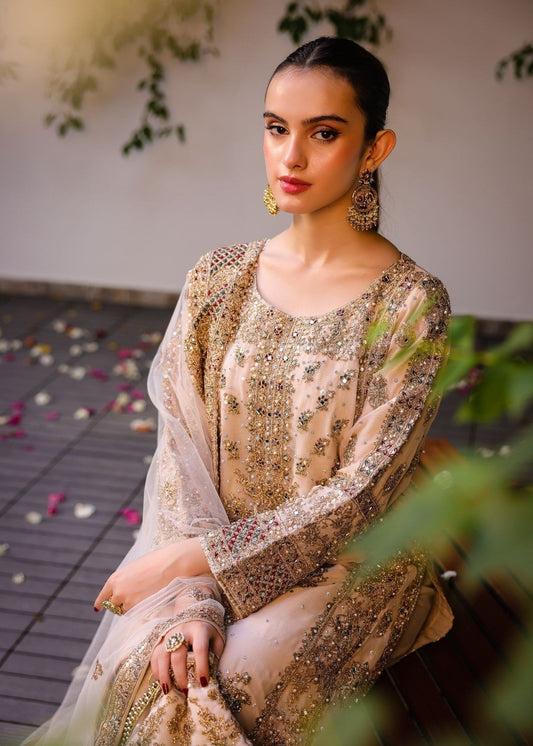 Beige Net Dupatta Chiffon Suit Online in Sri Lanka India Australia