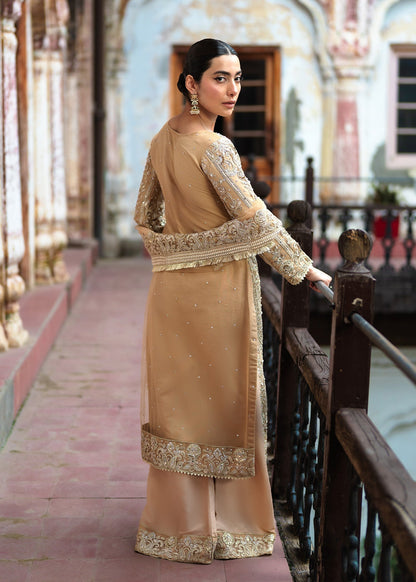 Beige Net Wedding Guest Wear Pakistani Suit Online in Sri Lanka India Australia