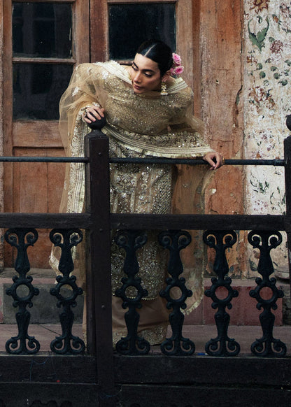 Beige Net Wedding Guest Wear Pakistani Suit Online in Sri Lanka India Australia