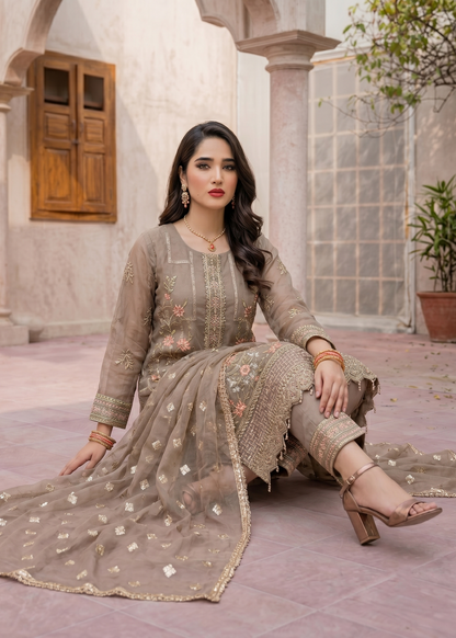 Beige Organza Embroidered Party Wear Suit Online in Dubai UAE Abudhabi Ajman Sharjah