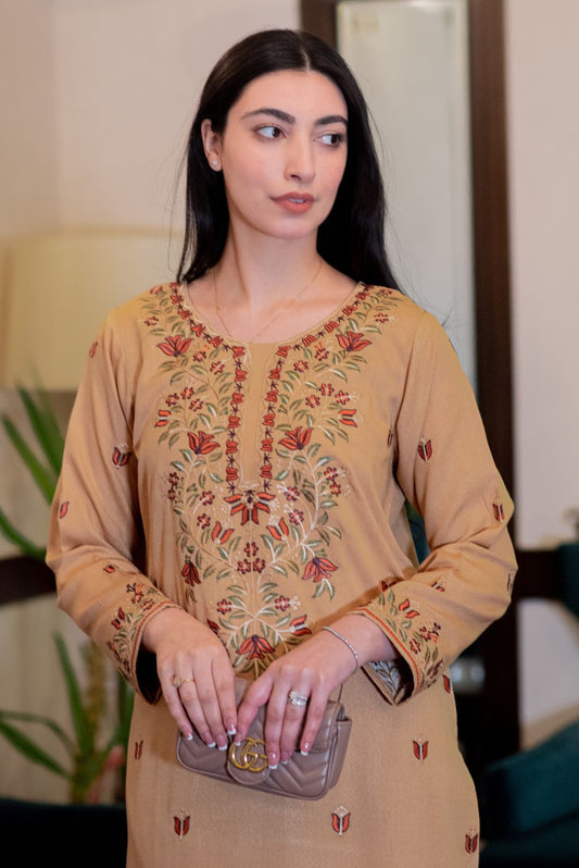 Embroidered Beige Brown Kurta