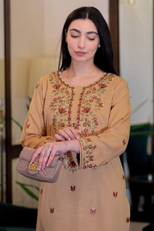Embroidered Beige Brown Kurta