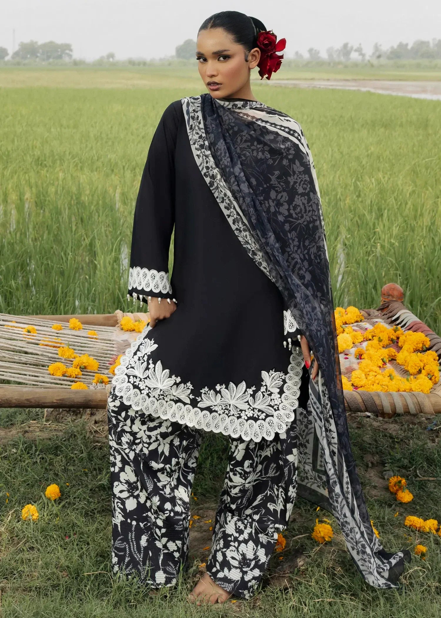 Black Chiffon Dupatta Pakistani Farshi Suit Online in KSA Riyadh Saudi Arabia Oman Bahrain Qatar