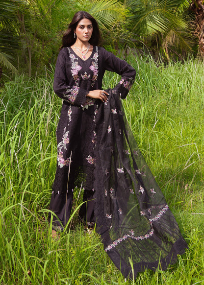 Black Embroidered Cambric Straight Kurta Suit Online in Dubai DXB UAE Abudhabi Meena Bazaar