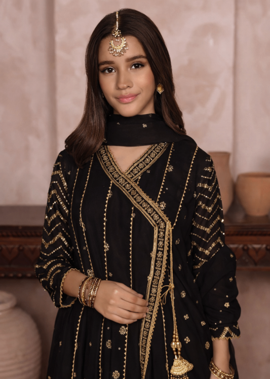 Black Embroidered Chiffon Festive Wear Suit Online in UK USA Canada