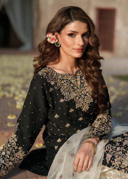 Black Organza Chiffon Straight Kurta Suit Online in Sri Lanka India Australia