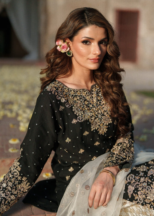 Black Organza Chiffon Straight Kurta Suit Online in Sri Lanka India Australia