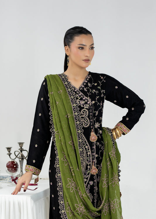 Black Silk Embroidered Party Wear Suit Online in Sri Lanka India Australia