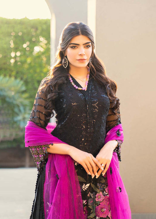Readymade Black & Plum Chiffon Suit
