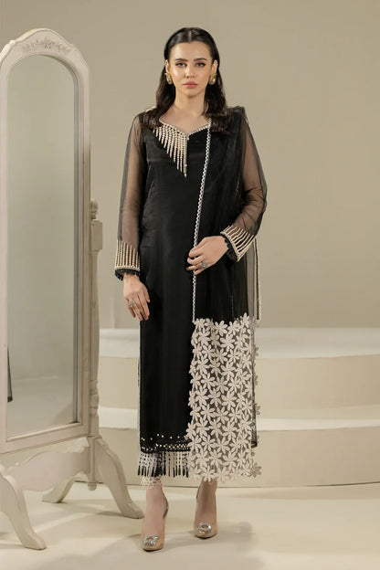 Black Pure Organza Suit with Pearl Work