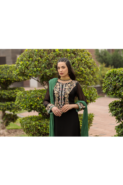 Black Hand Embroidered Pure Chiffon Suit