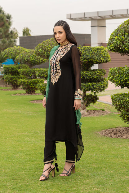 Black Hand Embroidered Pure Chiffon Suit