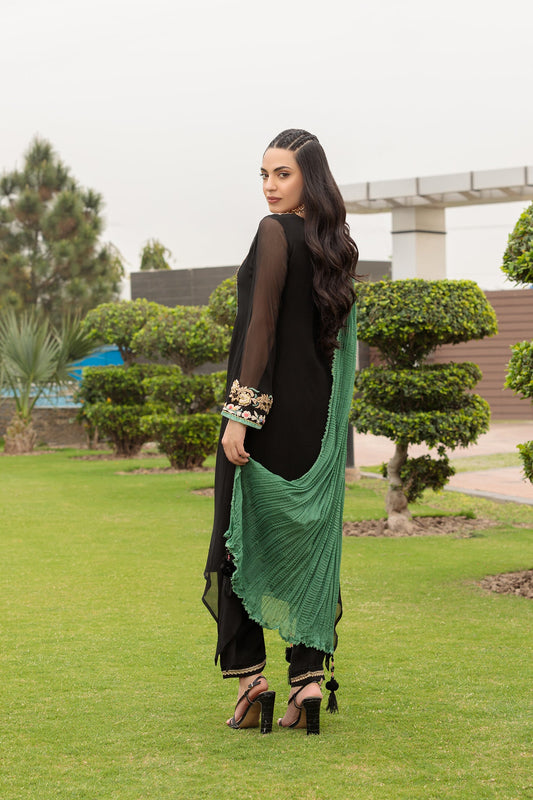Black Hand Embroidered Pure Chiffon Suit