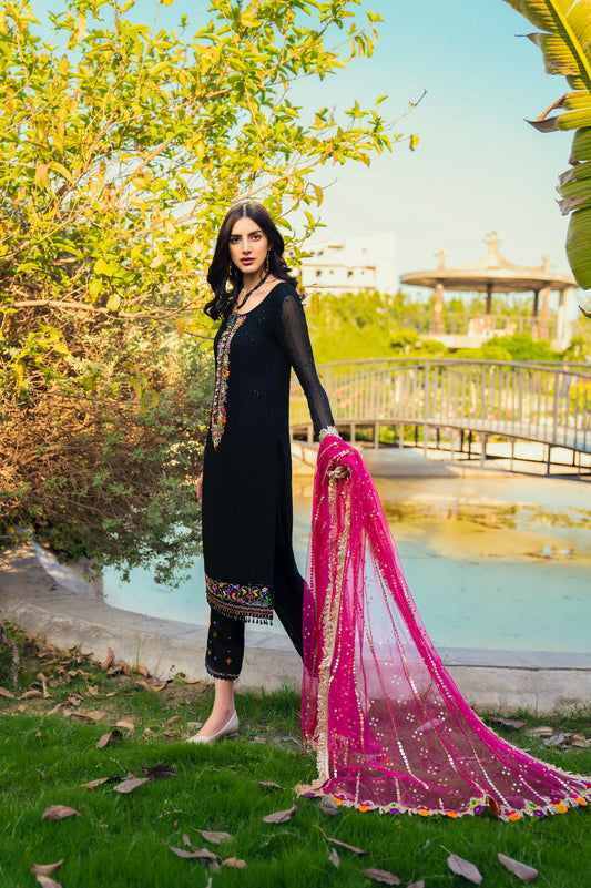Black Hand Embroidered Pure Chiffon Suit