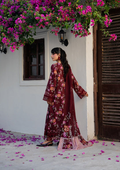 Blood Red Lawn Suit Online in Dubai DXB UAE Abudhabi Meena Bazaar
