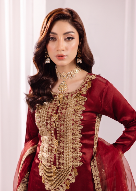 Blood Red Silk Embroidered Festive Suit Online in Dubai DXB UAE Abudhabi Meena Bazaar