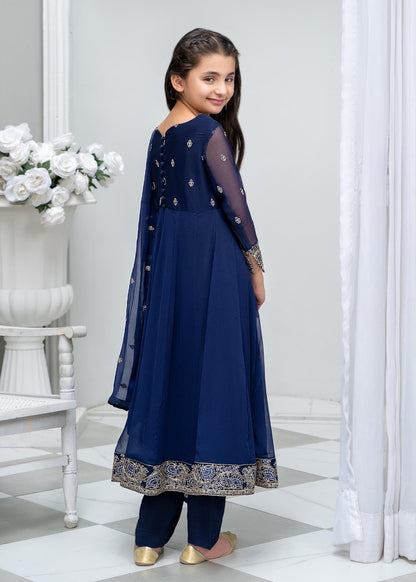 Blue Embroidered Chiffon Pishwas with Raw Silk Trouser Online in Sri Lanka India Australia