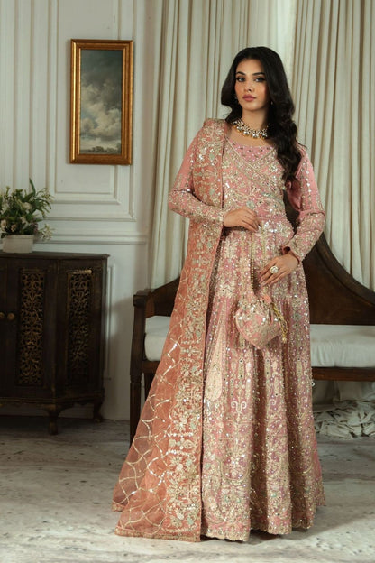 Blush Pink Embroidered Chiffon Partywear Suit Online in Dubai UAE Abudhabi Ajman Sharjah