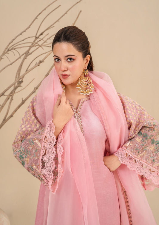 Blush Pink Embroidered Organza Dupatta Pakistani Suit Online in Dubai DXB UAE Abudhabi Meena Bazaar