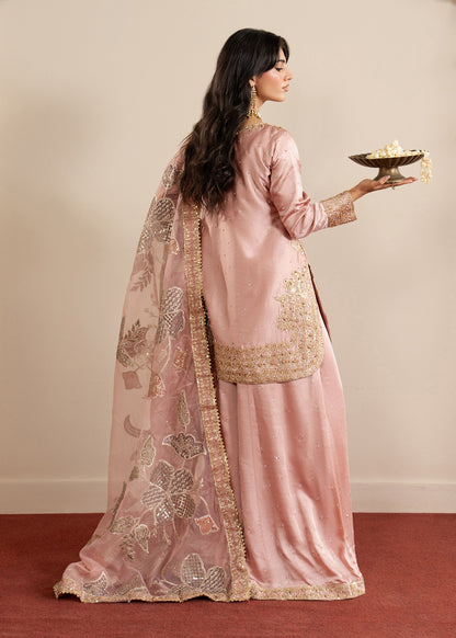Blush Pink Embroidered Organza Pakistani Suit Online in Sri Lanka India Australia
