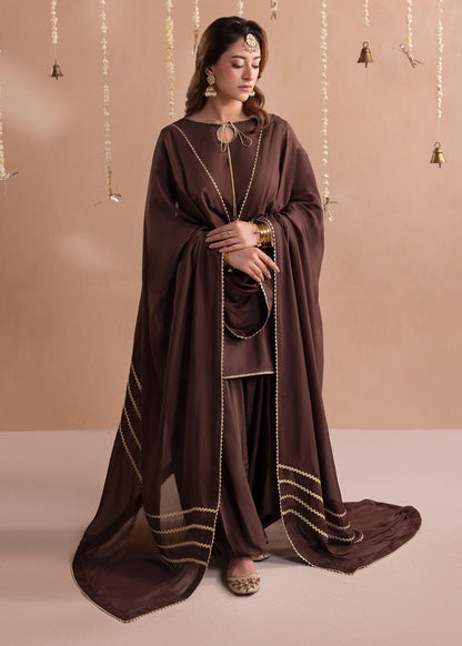 Brown Lace Trimmed Raw Silk Shalwar Kameez for Party Online in Sri Lanka India Australia