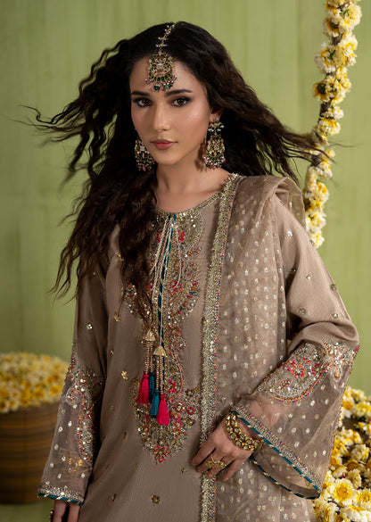 Brown Organza Dupatta with Raw Silk Kurta Set Online in Dubai UAE Abudhabi Ajman Sharjah