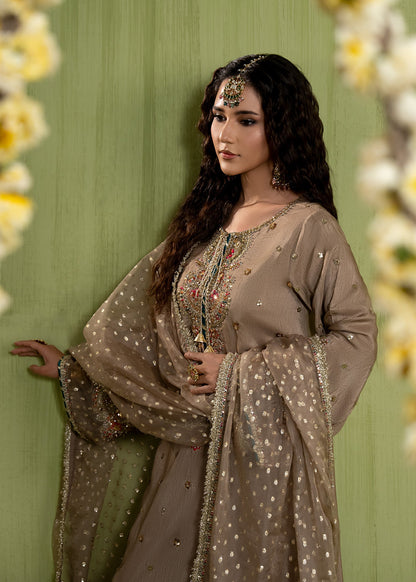 Brown Raw Silk Straight Cut Kurta with Bell Bottom Pants Online in Sri Lanka India Australia