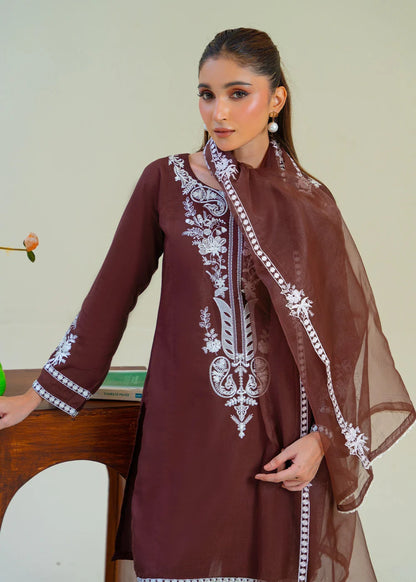 Brown Viscose Raw Silk Embroidered Kurta Set with Dupatta