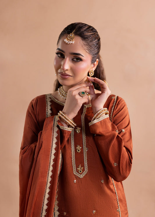 Burnt Orange Embroidered Raw Silk Designer Salwar Kameez Online in Dubai DXB UAE Abudhabi Meena Bazaar