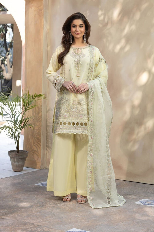 Butter Embroidered Organza Pakistani Suit Online in Dubai UAE Abudhabi Ajman Sharjah