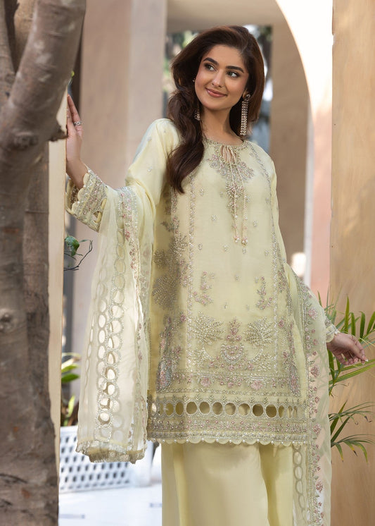 Butter Organza Embroidered Festive Partywear Suit Online in Sri Lanka India Australia