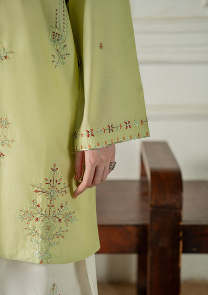 Buy Cotton Embroidered Suit Pistachio Green Online in Sri Lanka India Australia