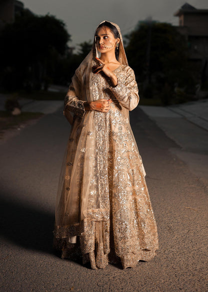 Champagne Net Wedding Guest Dress Online in Dubai UAE Abudhabi Ajman Sharjah