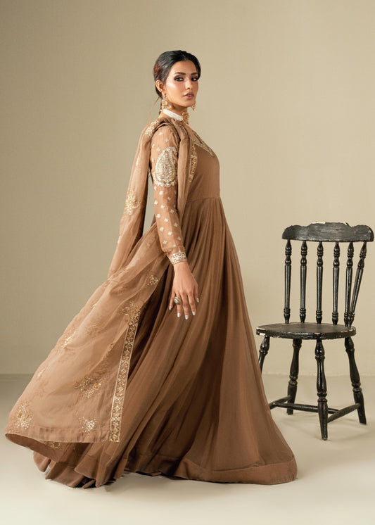Chiffon Festive Wear Maxi Dress Online in Sri Lanka India Australia
