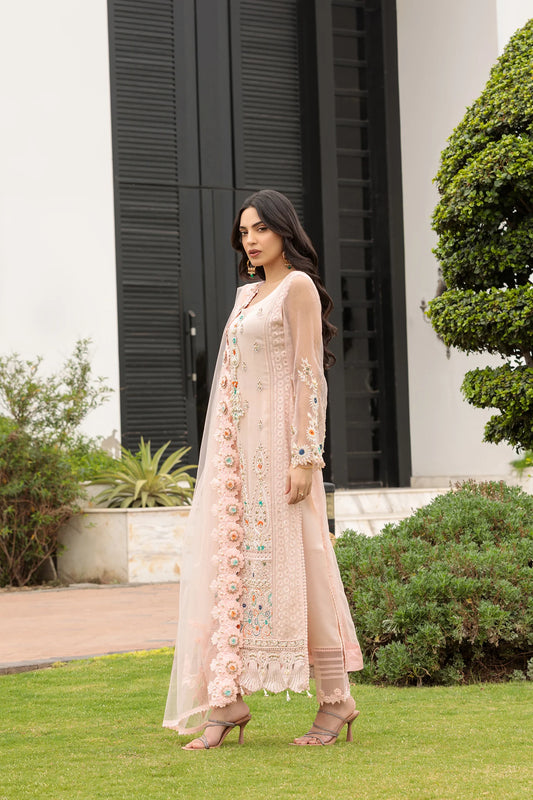 Readymade Pure Reshmi Chikankari Suit