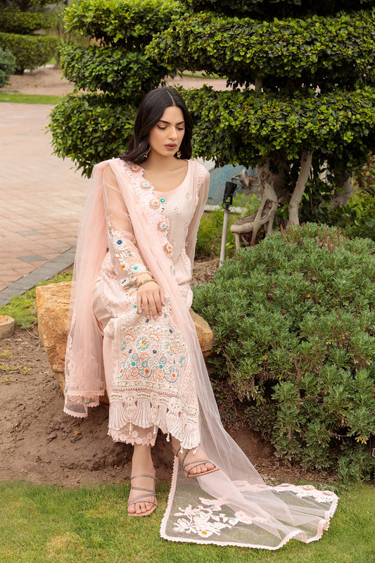 Readymade Pure Reshmi Chikankari Suit