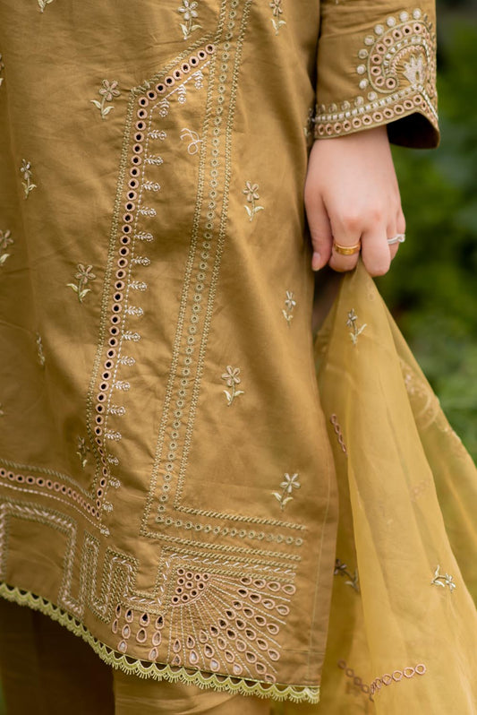 Embroidered Kurta with Pants