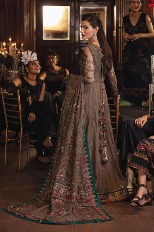 Dusty Brown Embroidered Saree / Anarkali