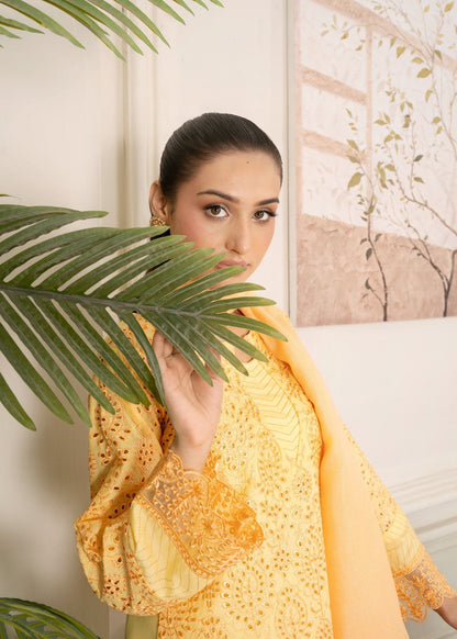 Cotton Embroidered Yellow Salwar Suit Online in Sri Lanka India Australia