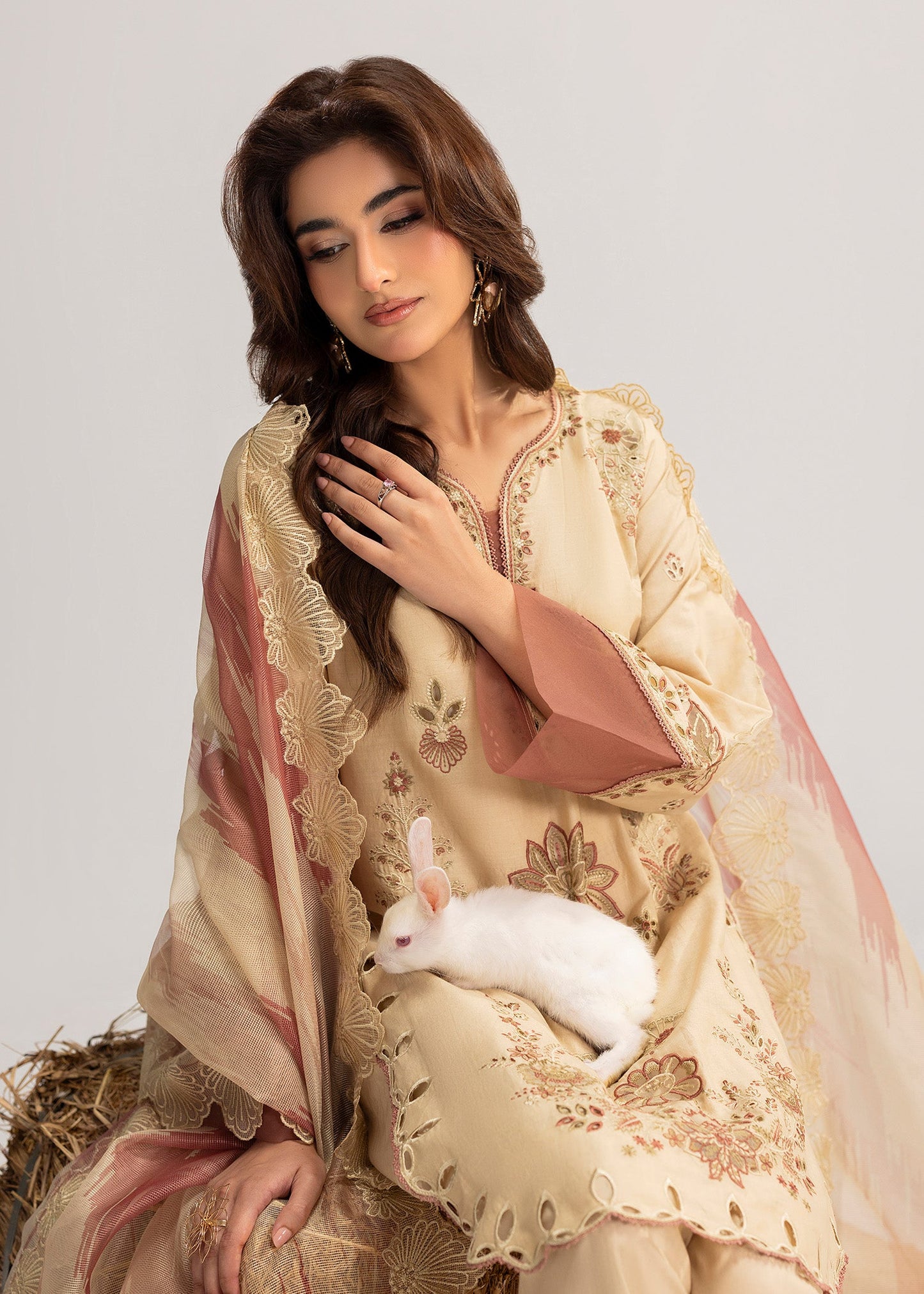 Cream Lawn Festive Wear Suit Online in Sri Lanka India Australia