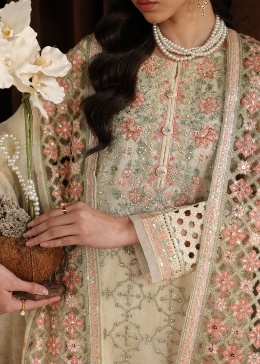 Cream Raw Silk Trouser Embroidered Net Suit Online in Sri Lanka India Australia