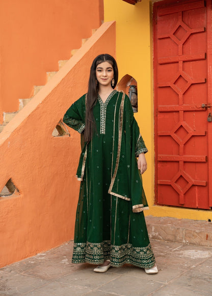 Dark Green Embellished Chiffon Pakistani Suit Online in Dubai DXB UAE Abudhabi Meena Bazaar